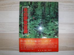 北の野草百選 : 四季にみる野草