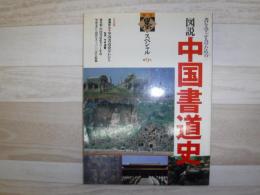 図説中国書道史 : 書を学ぶ人のための