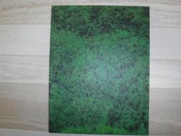 佐藤進展　風薫る丘と白亜の館　図録