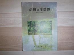 小川の増自然 : 幌内川での試み