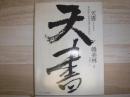 天書 : 失われた古代文字を求めて