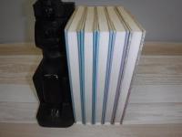 大同類聚方 : 全訳精解　全5冊