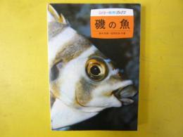 磯の魚　〈カラー自然ガイド〉