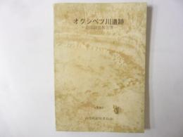 オクシベツ川遺跡発掘調査報告書