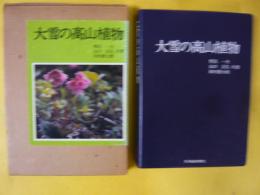 大雪の高山植物