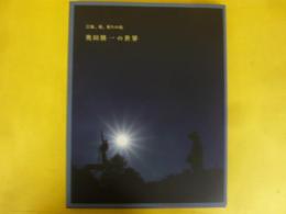 奥田修一の世界　芸術、愛、祈りの庭