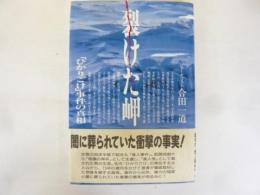裂けた岬　「ひかりごけ」事件の真相