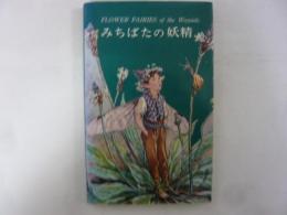 みちばたの妖精　〈フラワーフェアリーシリーズ〉