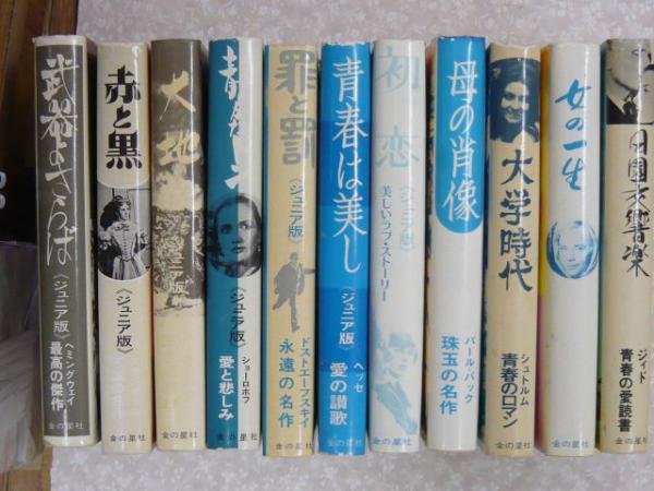 ジュニア世界の文学　4冊 希少 ジュニア世界の文学 4冊│rodoku.co.jp