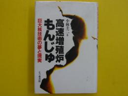 高速増殖炉もんじゅ　　　巨大核技術の夢と現実