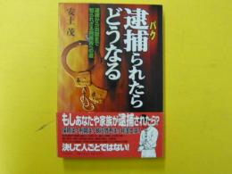 逮捕られたらどうなる　　　逮捕から出獄まで知られざる刑務所への道