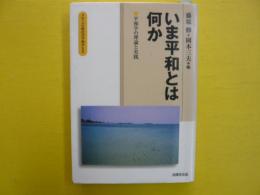 いま平和とは何か　　平和学の理論と実践　　（グローバル時代の平和学Ⅰ）