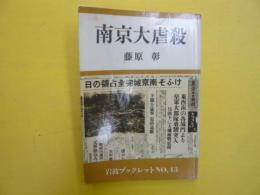 南京大虐殺　　〈岩波ブックレット〉