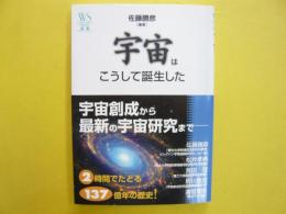 宇宙はこうして誕生した　　〈ウェッジ選書〉