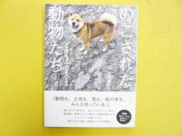 のこされた動物たち：福島第一原発２０キロ圏内の記録