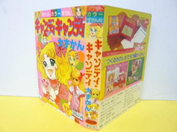 状態悪　キャンディキャンディ　大ずかん キャンディ・キャンディ大ずかん いがらしゆみこ ポケットカラー