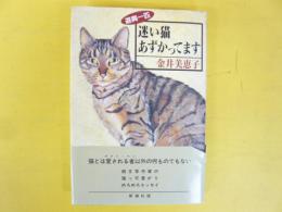 遊興一匹 迷い猫あずかってます