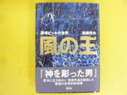 風の王　砂澤ビッキの世界