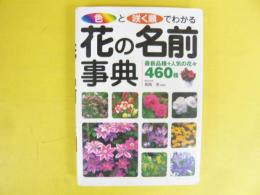 色と咲く順でわかる！花の名前事典