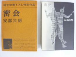 密会　〈純文学書下ろし特別作品〉