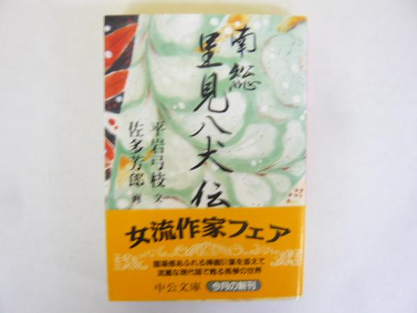 南総里見八犬伝 〈中公文庫〉(平岩弓枝・文/佐多芳郎・画