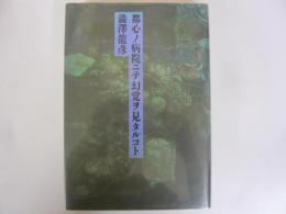 都心ノ病院ニテ幻覚ヲ見タルコト