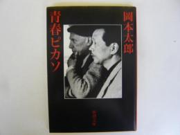 青春ピカソ　〈新潮文庫〉