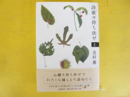 詩歌の待ち伏せ　〈上〉