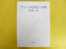 ブリーフセラピー入門