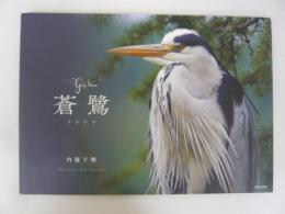 蒼鷺　アオサギ　〈写真集〉
