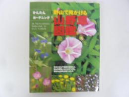 野山で見かける山野草図鑑　〈かんたんガーデニング〉