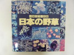日本の野草　〈山渓カラー名鑑〉