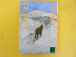 岩に立つ　〈講談社文庫〉