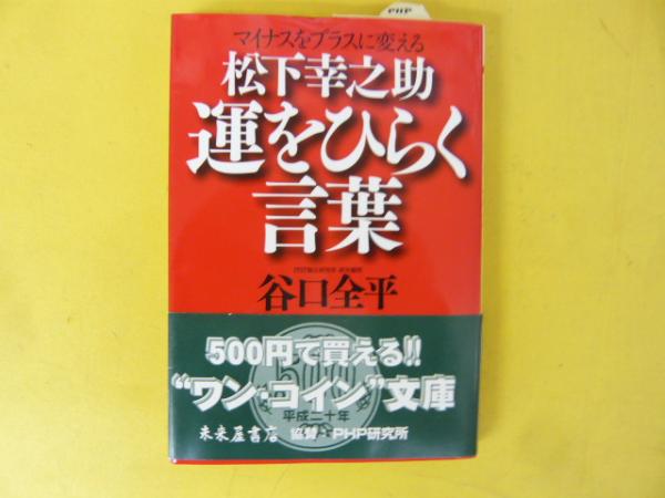 カラー版 世界の歴史18 東南アジア(河部利夫) / フタバ書店