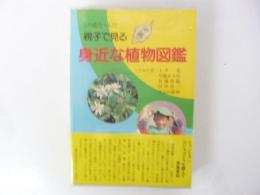 この花な～んだ　親子で見る身近な植物の図鑑　〈沖縄の〉
