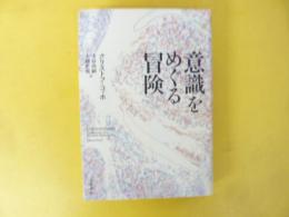 意識をめぐる冒険