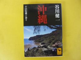 沖縄　その危機と神々　〈講談社学術文庫〉