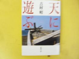 天に遊ぶ　〈新潮文庫〉