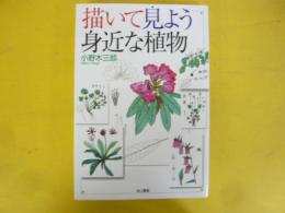 描いて見よう身近な植物