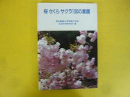桜 さくら サクラ１００の素顔