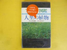 人里の植物　〈フィールド図鑑　植物➀〉