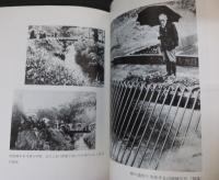 太宰治武蔵野心中