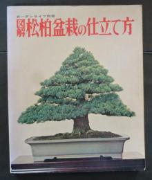 図解松柏盆栽の仕立て方