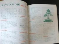 図解松柏盆栽の仕立て方