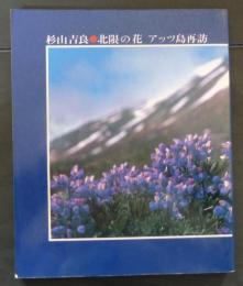 北限の花アッツ島再訪