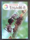 生きものの飼い方<旺文社学習図鑑 携帯版>