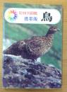 鳥<旺文社学習図鑑 携帯版>