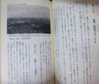 赤い蘇鉄と死と壕と : 沖縄戦避難日記