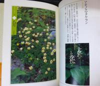 花おりおり 