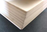 俳句殺人事件 : 巻頭句の女